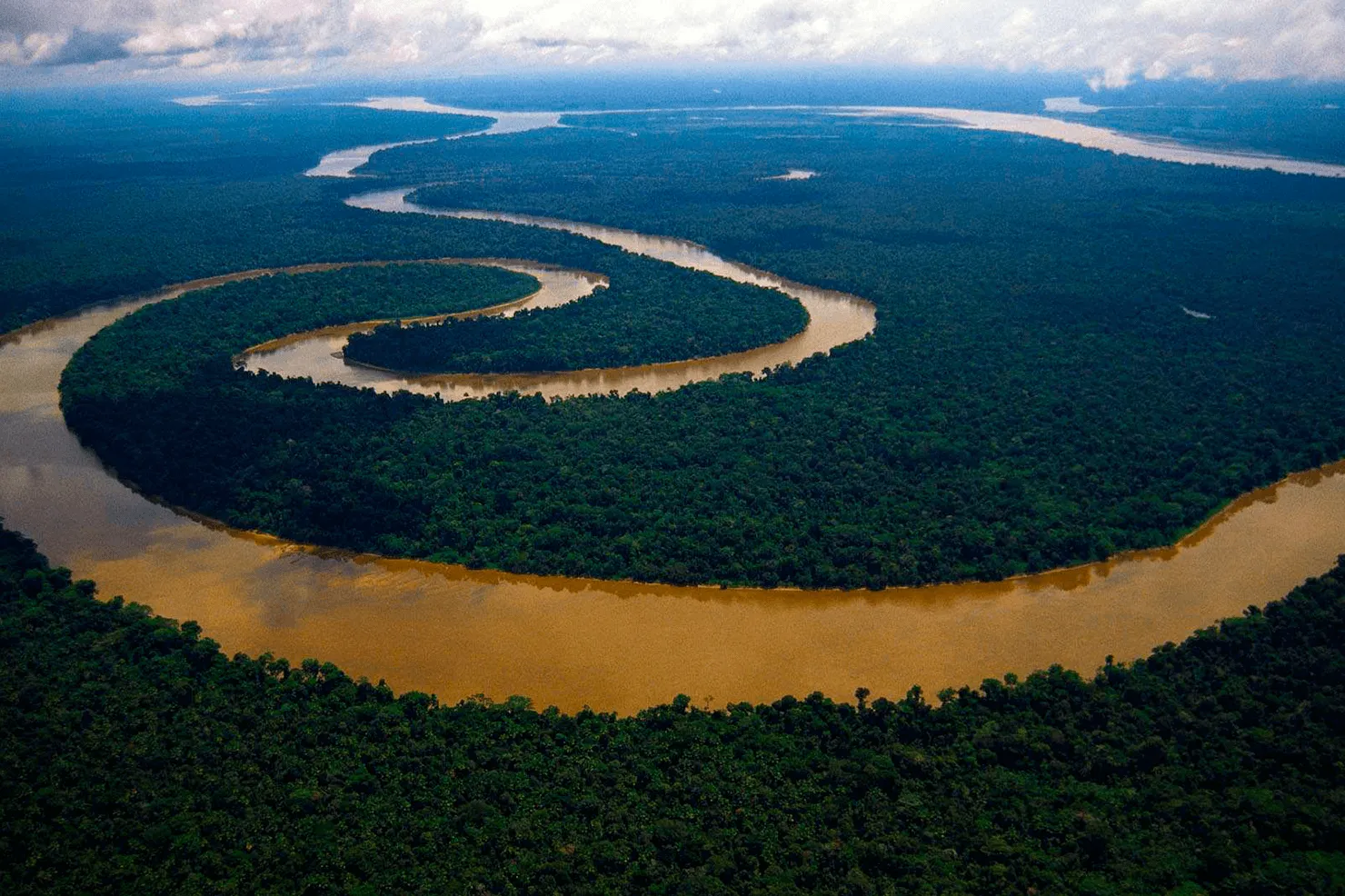Vista aérea de un río en medio de la selva